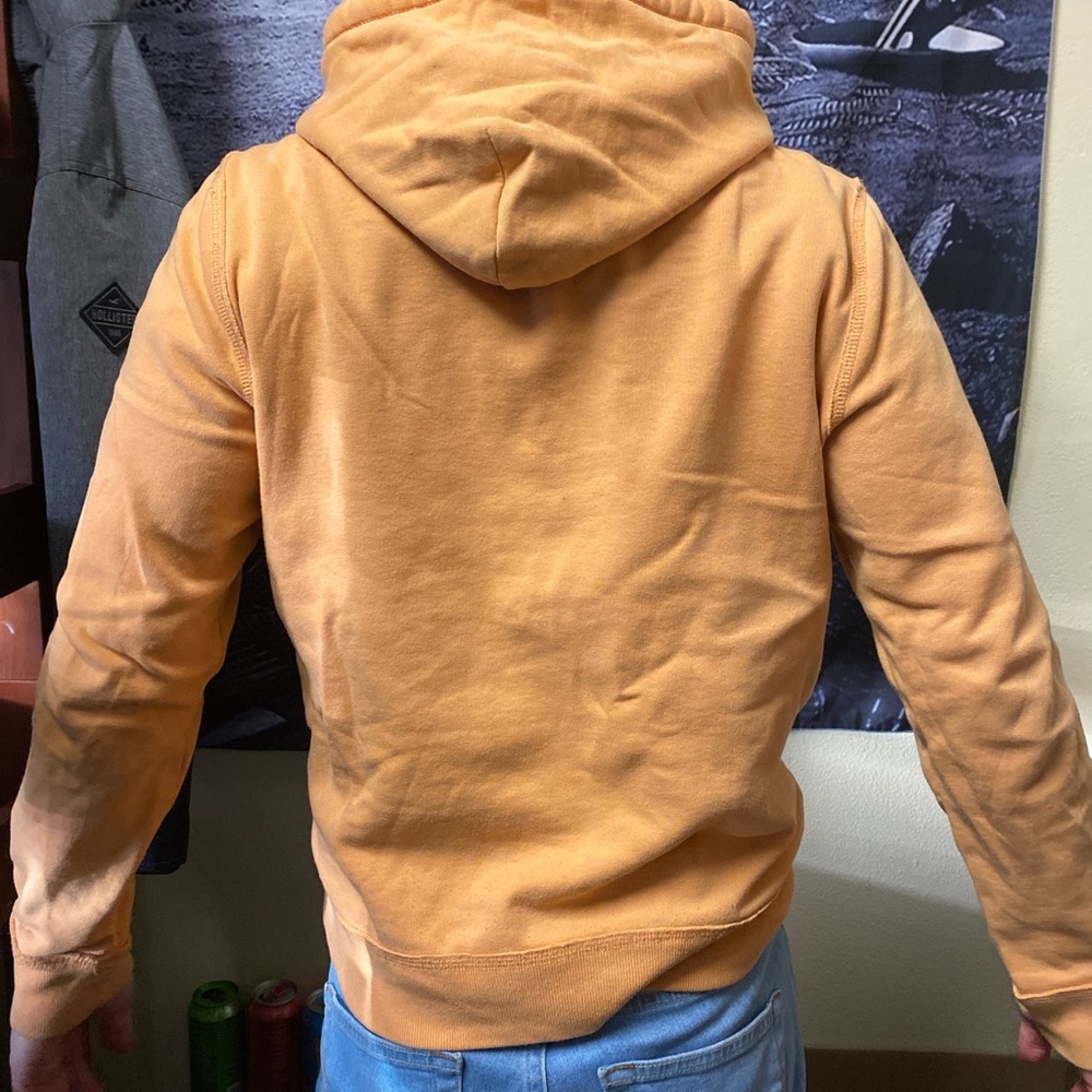 hollister hoodie